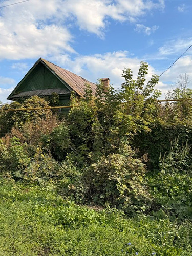 дом в самарской области